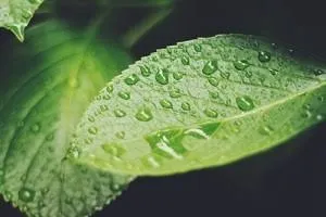 統合医療のzoomセミナーに参加！【岡山市中区◇haku鍼灸院】